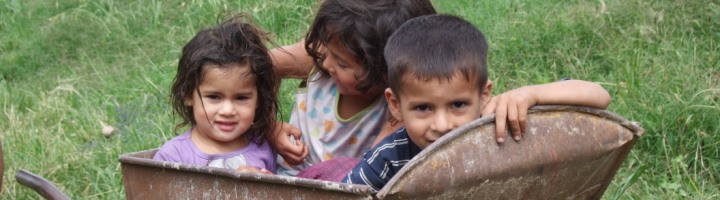 Wheelbarrow